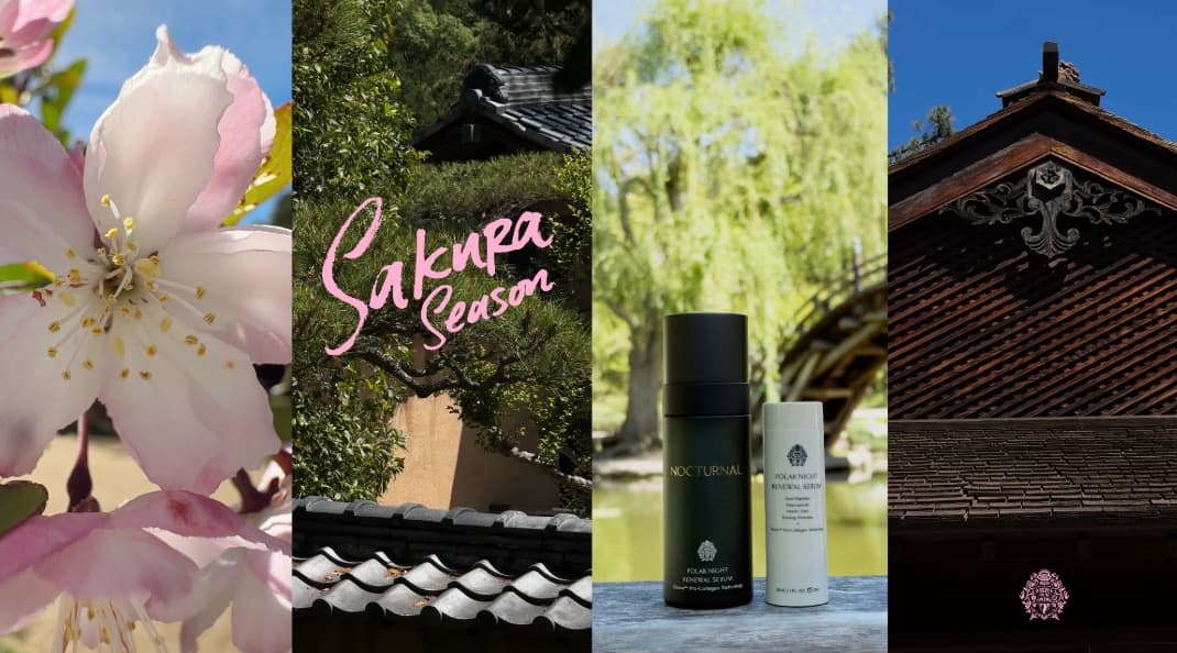 How Nocturnal Skincare created a spring campaign for under $100