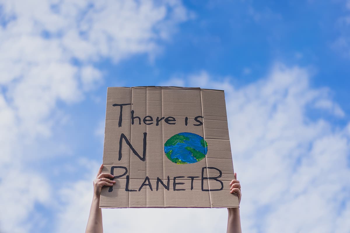 How green is your delivery? Are carriers greenwashing?