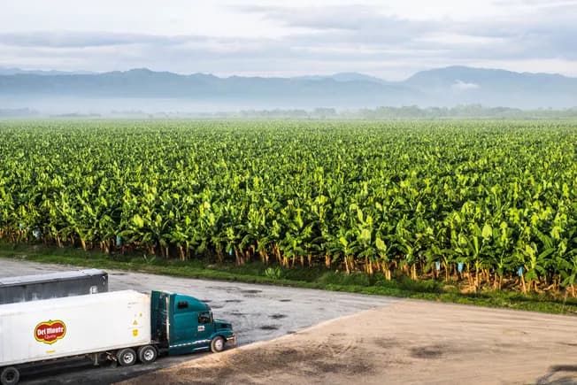 Del Monte faces about $40M headwind from primarily ocean freight